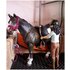 Schleich Horse Club 42438 set da gioco