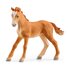 Schleich Horse Club Lakeside Riding Center