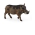 Schleich Wild Life Warthog
