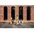 Segway Ninebot by Segway Ninebot Monopattino Elettrico E2 Plus E II Powered by Segway