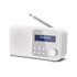 Sharp DR-P420 Portatile Digitale Bianco