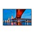 Sharp NEC MultiSync M651-2 Design chiosco 165,1 cm (65