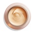 Shiseido Overnight Wrinkle Resisting Cream 50 ml