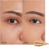 Shiseido Synchro Skin Self-Refreshing Concealer 301 Medium 5.8ml