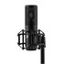 Shure KSM40C Microfono a Condensatore Cardioide con Custodia e Accessori