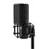 Shure KSM40C Microfono a Condensatore Cardioide con Custodia e Accessori