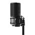Shure KSM44MP Microfono a Condensatore a Diaframma Largo Multipattern con Custodia