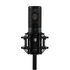 Shure KSM44MP Microfono a Condensatore a Diaframma Largo Multipattern con Custodia