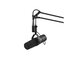 Shure SM7B Microfono Dinamico Cardioide