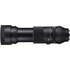 Sigma 100-400mm f/5-6.3 Contemporary DG DN OS Fuji X