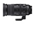 Sigma 150-600mm f/5-6.3 DG DN OS Sport L-Mount