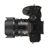 Sigma 24mm f/3.5 DG DN (C) Sony E-Mount