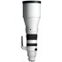 Sigma 300-600mm f/4 DG OS Sports Sony E-Mount