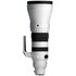 Sigma 300-600mm f/4 DG OS Sports Sony E-Mount
