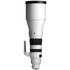 Sigma 300-600mm f/4 DG OS Sports Sony E-Mount