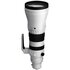 Sigma 300-600mm f/4 DG OS Sports Sony E-Mount