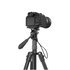SmallRig CT180 treppiede Universale 3 gamba/gambe Nero