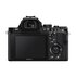 Sony Alpha 7 Body