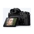 Sony Alpha 7 Body