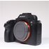 Usato Sony Alpha 7 Mark II Body [Usato]