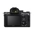 Sony Alpha 7 III + FE 24-105mm f/4 G OSS