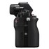Sony Alpha 7S Body