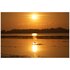 Sony FE 100-400mm f/4.5 G Master