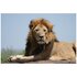 Sony FE 100-400mm f/4.5 G Master