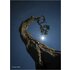 Sony FE 20-70mm f/4 G Scatola aperta Confezione originale presente