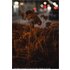 Sony FE 50mm f/1.4 G Master GM Scatola aperta Confezione originale presente