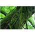 Sony FE 55mm f/1.8 Sonnar Zeiss E-Mount