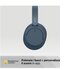 Sony WH-CH720 Auricolare Con cavo e senza cavo A Padiglione Musica e Chiamate USB tipo-C Bluetooth Blu