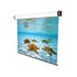 SOPAR 5301RN schermo per proiettore 3,76 m (148") 4:3