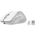 Speedlink LIBERA Rechargeable mouse Gaming Mano destra RF senza fili + Bluetooth Ottico 3200 DPI