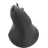 Speedlink PIAVO mouse Ufficio Mano destra USB tipo A Ottico 2400 DPI