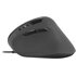 Speedlink PIAVO mouse Ufficio Mano destra USB tipo A Ottico 2400 DPI