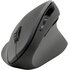 Speedlink SL-630019-RRBK mouse Ufficio Mano destra RF Wireless + USB Type-A Ottico 1600 DPI