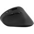 Speedlink SL-630019-RRBK mouse Ufficio Mano destra RF Wireless + USB Type-A Ottico 1600 DPI
