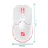 Speedlink SL-680102-WT mouse Gaming Mano destra RF Wireless + USB Type-A Ottico 4800 DPI