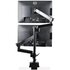 STARTECH ARMDUALPIVOT 32
