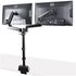 STARTECH ARMDUALPIVOT 32