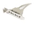 STARTECH Adattatore piastra slot basso profilo 2 porte USB A femmina