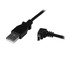 STARTECH Cavo mini USB 2 m - A a Mini B angolare verso il basso