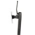 STARTECH .com FPPNEUSTND supporto da tavolo per Tv a schermo piatto 86,4 cm (34