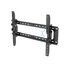 STARTECH Supporto da Parete per TV a schermo piatto da 32