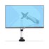 STARTECH .com Supporto per monitor da scrivania per schermi ultrawide da 27“ 16:9 o 30” 21:9, VESA 75x75/100x100, regolazioni senza attrezzi, morsetto a C/passacavo
