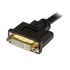 STARTECH Sdoppiatore DVI-I a DVI-D e HD15 VGA per thin client Wyse