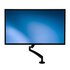 STARTECH Supporto slim per Monitor LCD LED Schermo Display - Braccio Regolabile con sistema gestione cavi