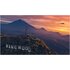 TAKE TWO INTERACTIVE Grand Theft Auto V: Premium Online Edition PS4
