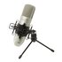 Tascam TM-80 Microfono a Condensatore Cardioide